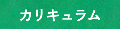 カリキュラム