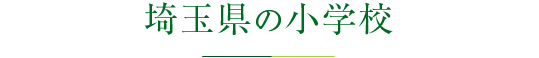埼玉県の小学校