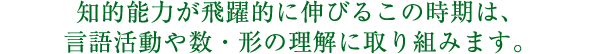 知的能力が飛躍的に伸びるこの時期は、言語活動や数・形の理解に取り組みます。