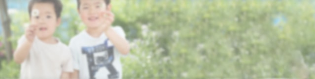 27年度の入試コラム 関西大学初等部 新着情報一覧 小学校受験の伸芽会