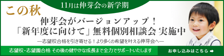 伸芽会の積木・幼児教室・幼稚園受験 Amazon.co.jp: 小学校受験 伸芽会の教材つみき : おもちゃ